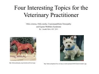 Four Interesting Topics for the Veterinary Practitioner