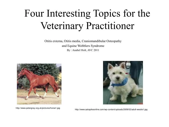four interesting topics for the veterinary practitioner
