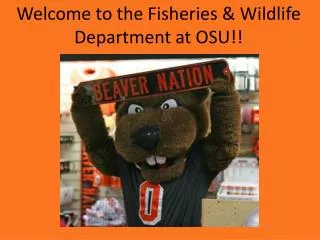 Welcome to the Fisheries &amp; Wildlife Department at OSU!!