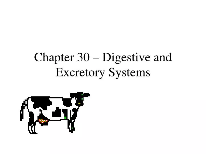 chapter 30 digestive and excretory systems