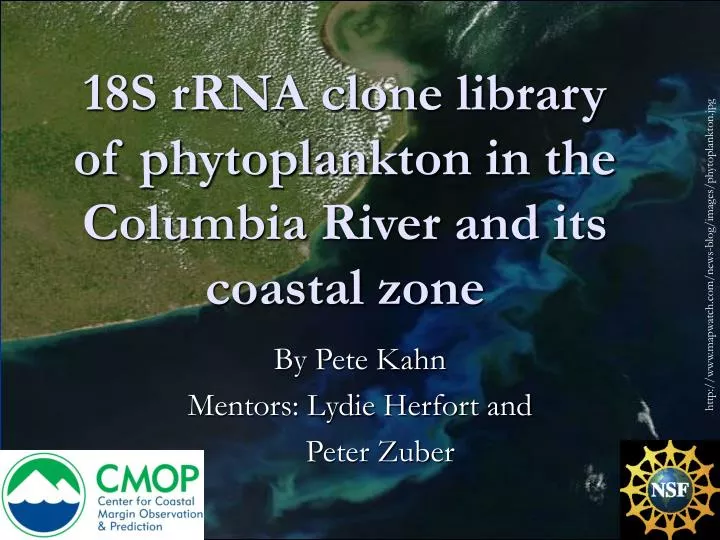 18s rrna clone library of phytoplankton in the columbia river and its coastal zone