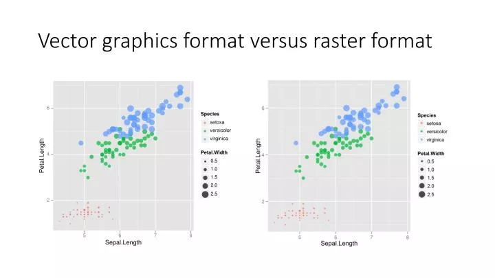 vector graphics format versus raster format