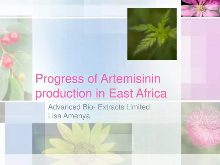 progress of artemisinin production in east africa