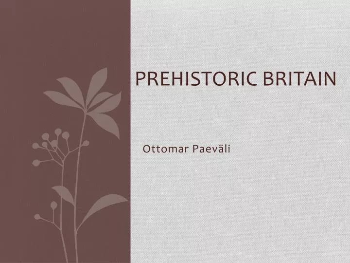 prehistoric britain