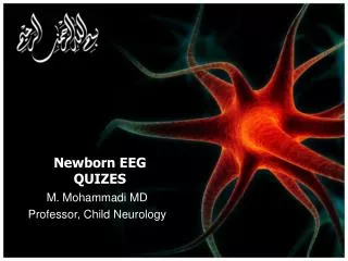 newborn eeg quizes