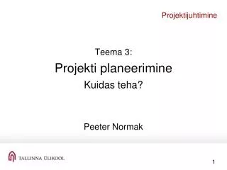 projektijuhtimine