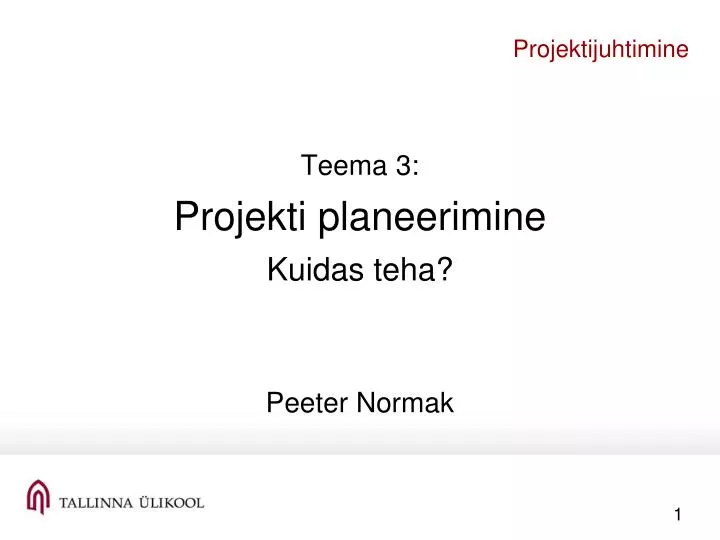 projektijuhtimine