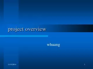 project overview