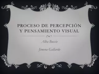 proceso de percepci n y pensamiento visual