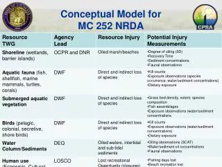 Conceptual Model for MC 252 NRDA