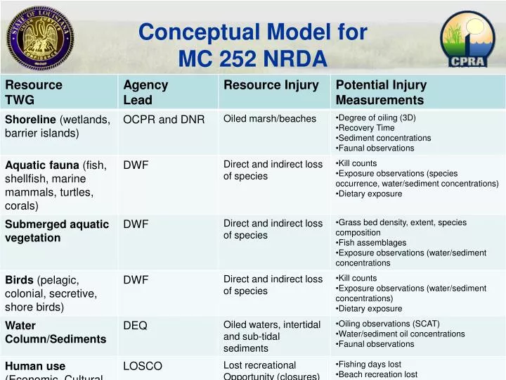 conceptual model for mc 252 nrda