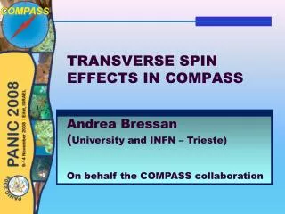 TRANSVERSE SPIN EFFECTS IN COMPASS