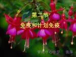 第二节 免疫和计划免疫 - slide 1
