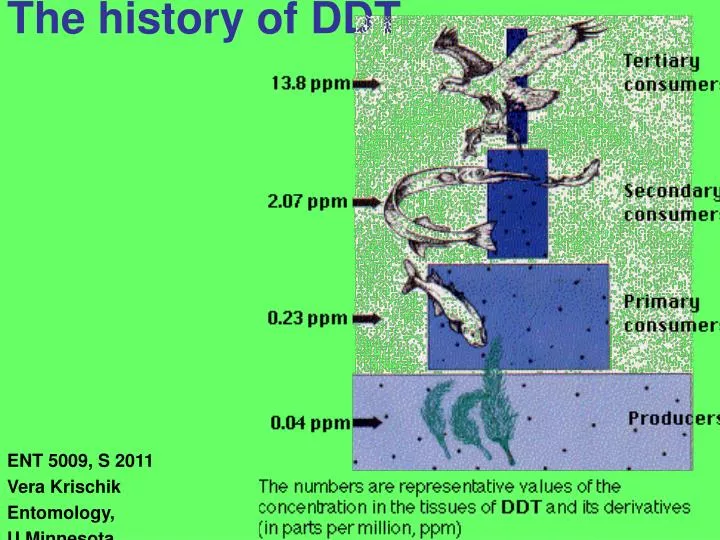 the history of ddt