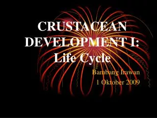 CRUSTACEAN DEVELOPMENT I: Life Cycle