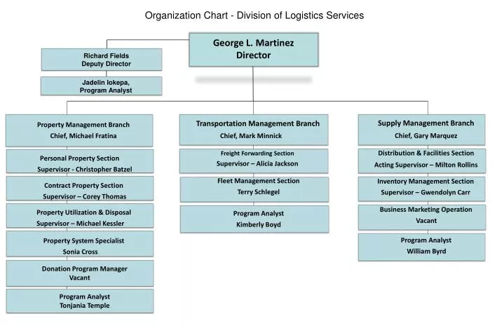 organization chart division of logistics services