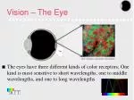 Vision – The Eye - slide 1