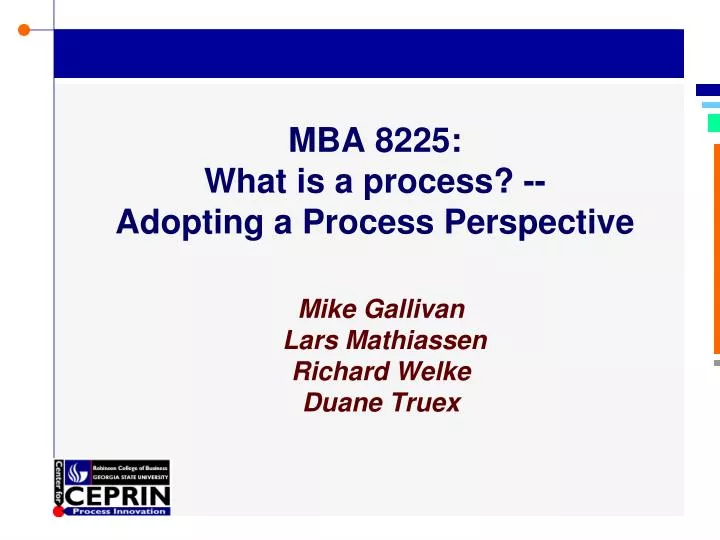 mba 8225 what is a process adopting a process perspective