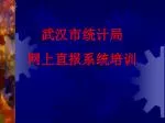 武汉市统计局 网上直报系统培训 - slide 1