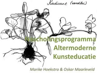 nascholingsprogramma altermoderne kunsteducatie
