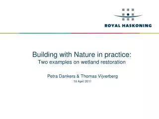 building with nature in practice two examples on wetland restoration
