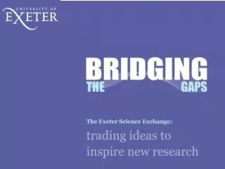 End of First Year Review Professor David Butler Principal Investigator, Bridging the Gaps