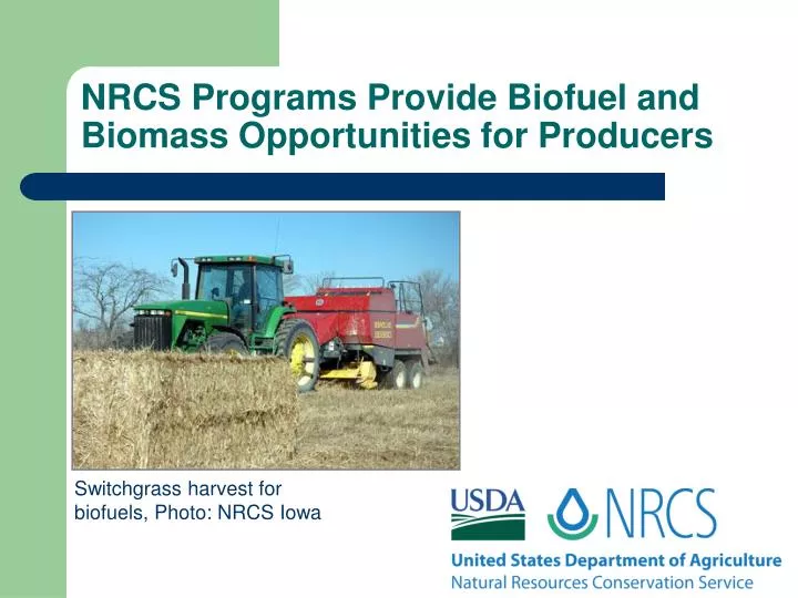 nrcs programs provide biofuel and biomass opportunities for producers