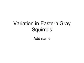 Variation in Eastern Gray Squirrels