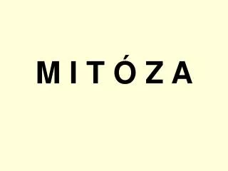 m i t z a