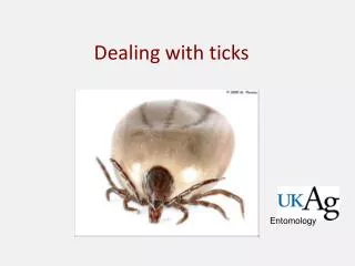 Dealing with ticks