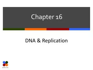 PPT - CHAPTER - 16 LIGHT PowerPoint Presentation, Free Download - ID:636571