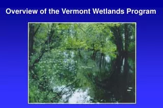 Overview of the Vermont Wetlands Program