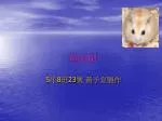 黃金鼠 - slide 1