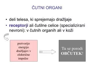 utni organi