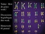 Understanding How Genes Work: Information Flow in Cells - slide 1