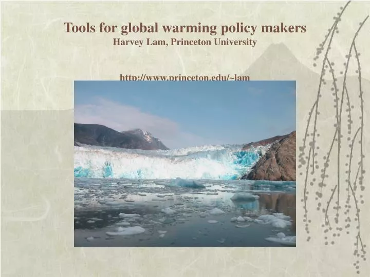 tools for global warming policy makers harvey lam princeton university http www princeton edu lam