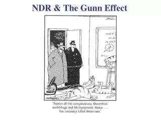 NDR &amp; The Gunn Effect