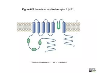 GI Motility online (May 2006) | doi:10.1038/gimo75