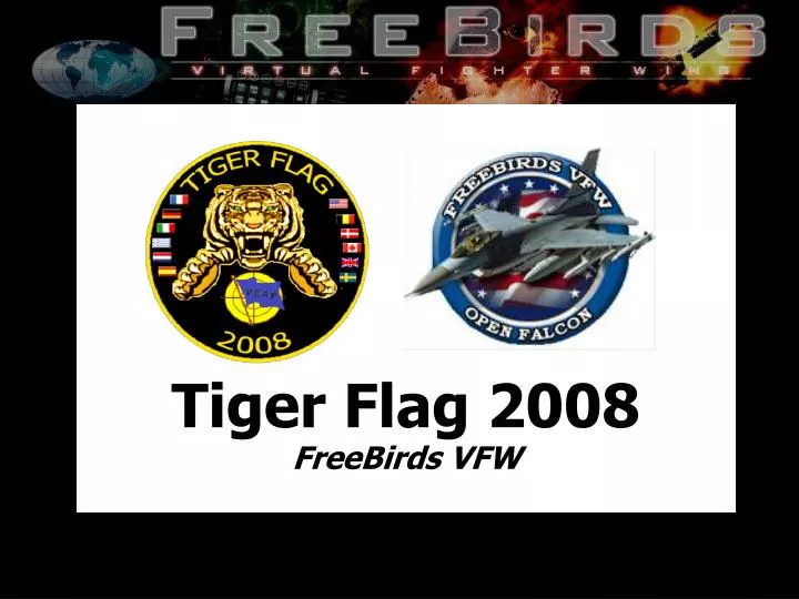 tiger flag 2008