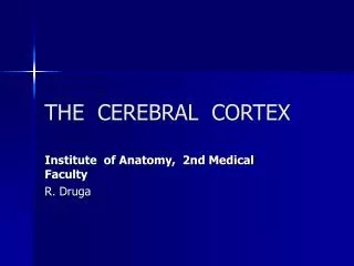 THE CEREBRAL CORTEX