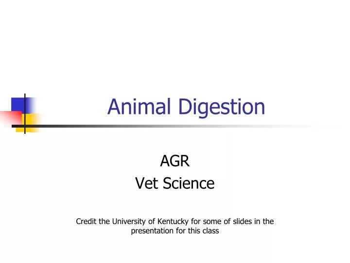 animal digestion