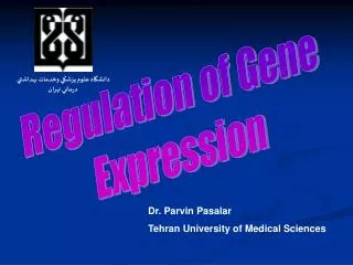 Dr. Parvin Pasalar Tehran University of Medical Sciences