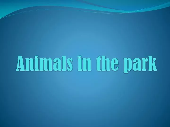 animals in the park