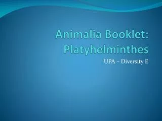 Animalia Booklet: Platyhelminthes