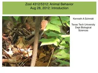 Zool 4312/5312: Animal Behavior Aug 28, 2012: Introduction