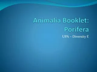Animalia Booklet: Porifera