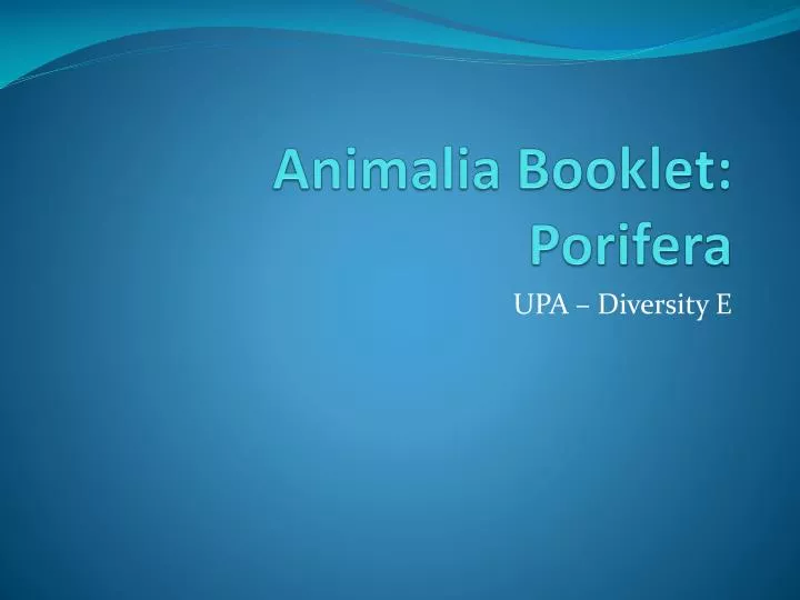 animalia booklet porifera