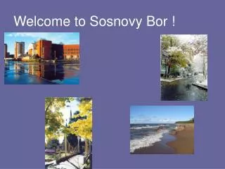 Welcome to Sosnovy Bor !