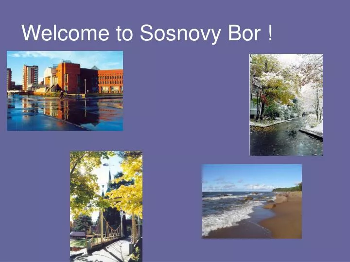 welcome to sosnovy bor
