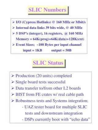 SLIC Numbers